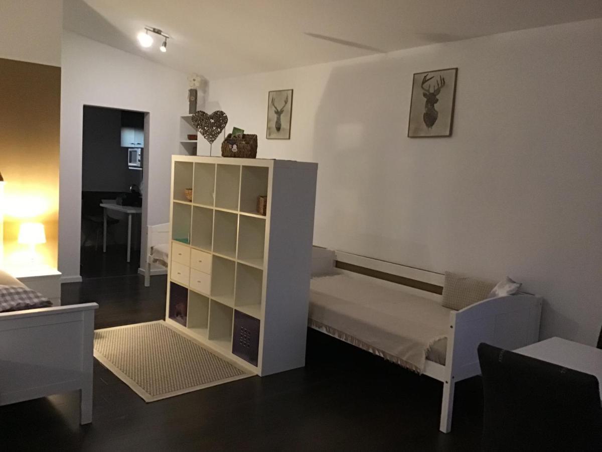 Private Zimmervermietung "Appartement Rosi" ライスバッハ エクステリア 写真
