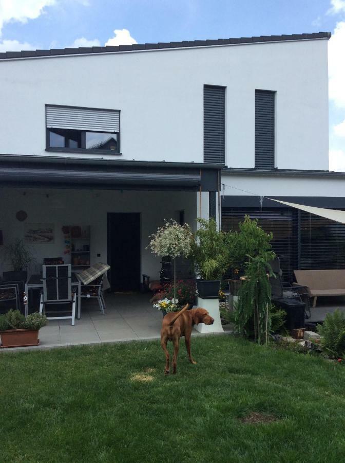 Private Zimmervermietung "Appartement Rosi" ライスバッハ エクステリア 写真